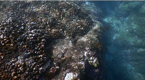 Turismo y Desarrollo Inmobiliario